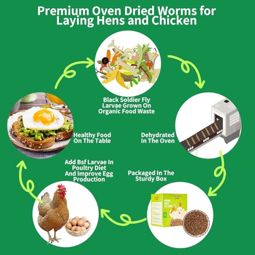 KAYHEN Dried Black Soldier Fly Larvae 10LB Non-GMO BSF Larvae for Chickens More Calcium Than Mealworms High-Protein Chickens Treats for Layer Hens Wild Birds Ducks