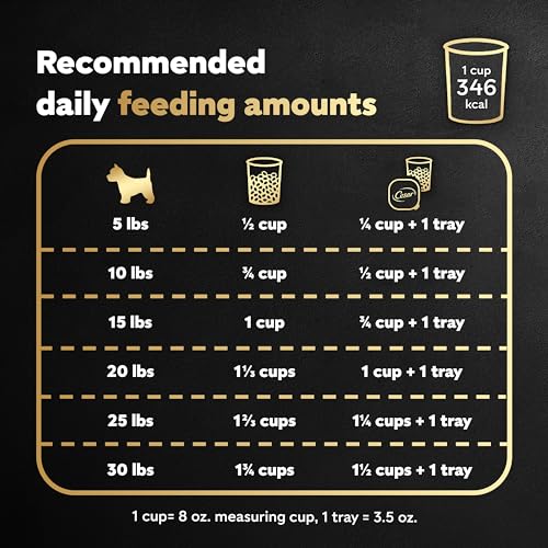 Cesar Small Breed Dry Dog Food for Small Dogs, Filet Mignon Flavor and Spring Vegetables Garnish, 12 lb Bag