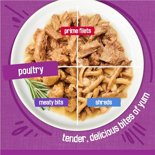Purina Friskies Gravy Wet Cat Food Variety Pack, Poultry Shreds, Meaty Bits and  Filets - (Pack of 32) 5.5 oz. Cans