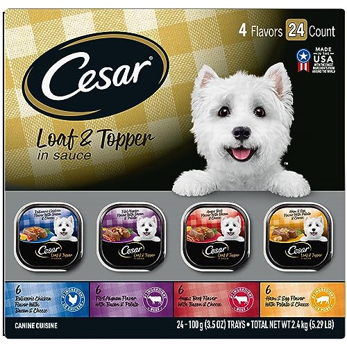 Cesar Loaf in Sauce Wet Dog Food Rotisserie Chicken, Filet Mignon, Angus Beef, and Ham & Egg Flavors Variety Pack, 3.5 oz. Easy Peel Trays (24 Count, Pack of 1)