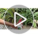 Drinking Coffee Faceless Garden Gnome Statue Decoration 7.1" Figurine Ornament for Indoor Outdoor Home Patio Yard Lawn