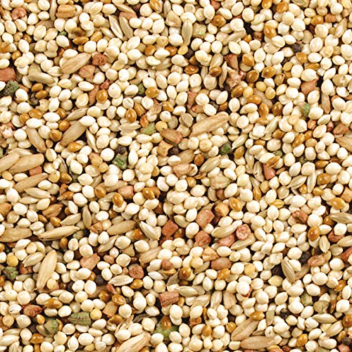 Wild Harvest Daily Blend Nutrition Diet for Parakeet, Canary and Finch 10 Pounds, Orange flavour