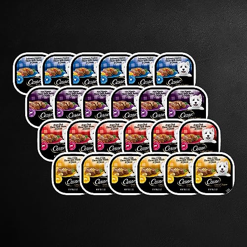 Cesar Loaf in Sauce Wet Dog Food Rotisserie Chicken, Filet Mignon, Angus Beef, and Ham & Egg Flavors Variety Pack, 3.5 oz. Easy Peel Trays (24 Count, Pack of 1)