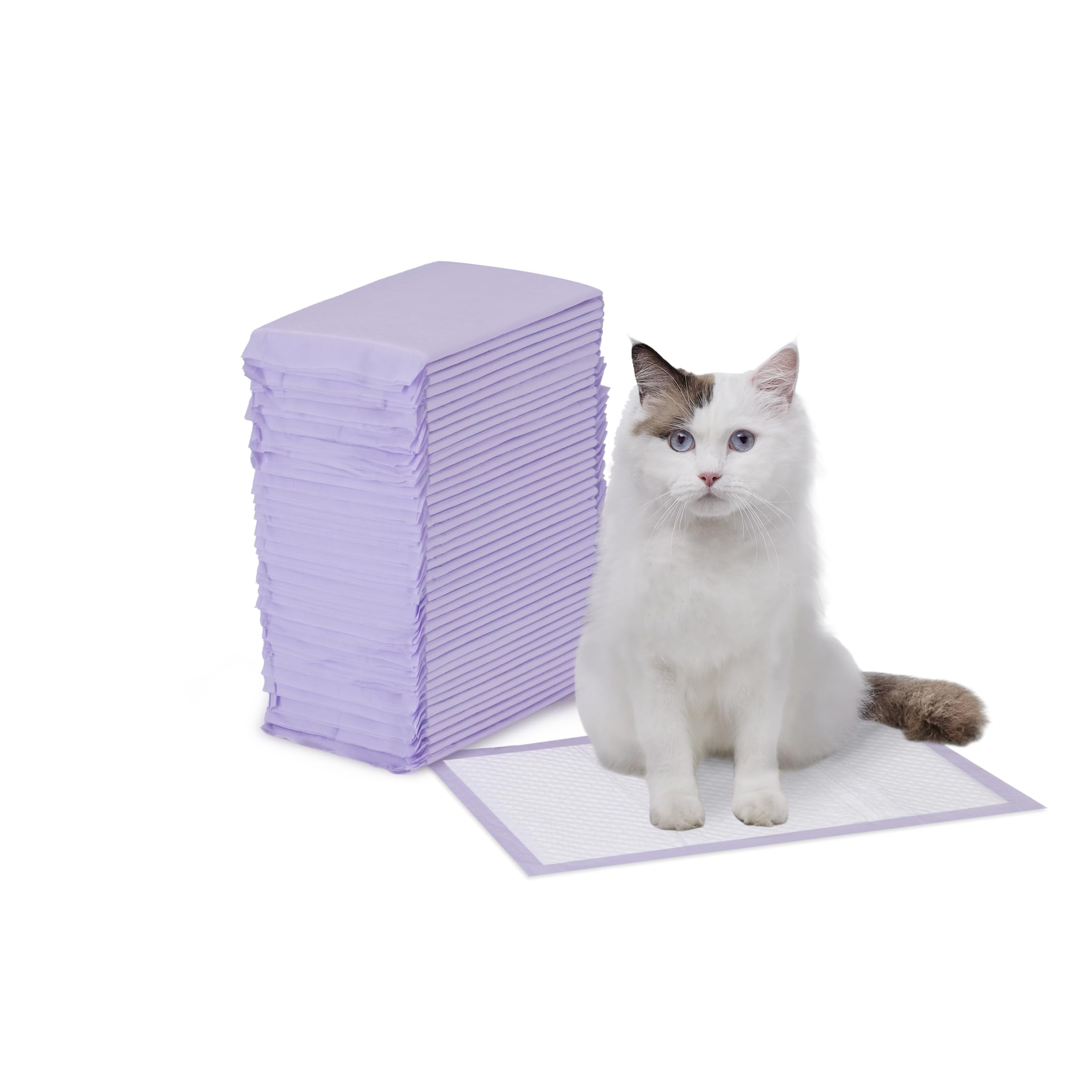 Basics Cat Litter Pee Pads, Odor Control with Fresh Scent, Super Absorbent, Disposable, Universal Fit Litter Box, Purple and White, 40 Count