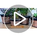 Quarut 4 Pack 10 inch Plant Pots,Upgrade Whiskey Barrel Planters with Drainage Holes & Saucer,Plastic Decoration Flower Pots Retro Design,Planters for Outdoor Indoor Garden Home Plants (Brown)