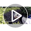 2 Gallon Watering Can, Outdoor Watering Can for Plants, Garden Water Can with Removable Long Spout and Stainless Steel Sprinkler Head, Large Water Can for Greenhouse (Dark Blue, 2 Gallon)