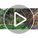 Heavy Duty Garden Hose 25ft, NON-EXPANDABLE Flexible Water Hose, Kink Resistant Lightweight Hybrid Hose, Leakproof Hose Male to Female Fittings