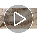 Pocket Hose Arrow, AS SEEN ON TV, Customizable Spray Nozzle from Powerful Jet Stream Cleaning to Gentle Garden Watering, Flow Force Tech, 4 Precision Tips, Rust-Resistant, Non-Slip Grip, Car Wash