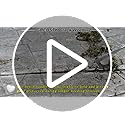 GREBSTK Crack Weeder Crevice Weeding Tool Stainless Steel Manual Weeder Beech Handle Gardening Tool