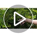 VOTREK® Pruning Shears, 8.5” Professional Garden Pruner with Jam-Proof Spring & Ever-Sharp SK5 Blade, Ergonomic Bypass Clippers for Rose, Tree Trimming, Heavy Duty Bonsai Scissor for Weak Hand