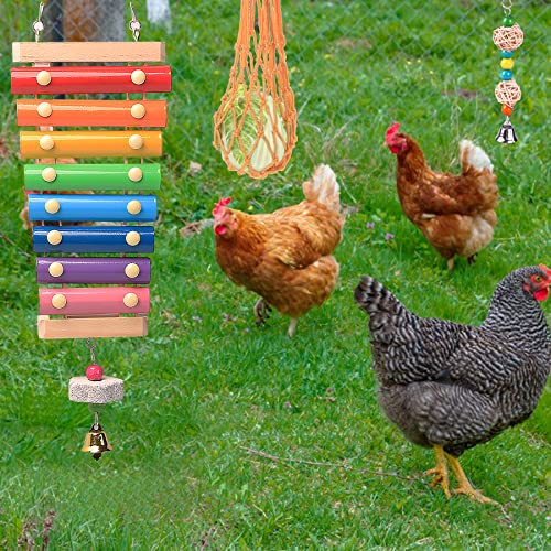 Chicken Toys for Coop 12PCS Set, KAKUNM Chicken Enrichment Toys，Including Xylophone, Swing Set, Mirror Toy, Flexible Ladder, Vegetable String Bag and Hanging Feeder, Coop Accessories for Hens