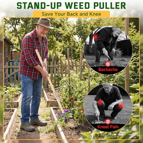 Weed Puller Tool, Stand Up Heavy Duty Weed Remover Tool with Long Handle & 4-Claw Steel Head, Bamboo Garden Hand Weeding Tool - Easily Remove Weeds Without Bending, Pulling,or Kneeling