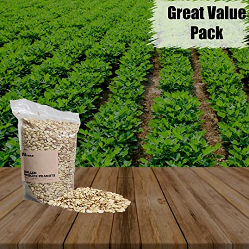 Old Potters Organic Shelled Peanuts, 10 lbs for Birds and Squirrels. USA Grown Non-GMO, Raw, Wildlife Grade