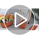 CHUKEMAOYI Window Box Planter, 7 Pack Plastic Vegetable Flower Planters Boxes 17 Inches Rectangular Flower Pots with Saucers for Indoor Outdoor Garden, Patio, Home Decor (Red)
