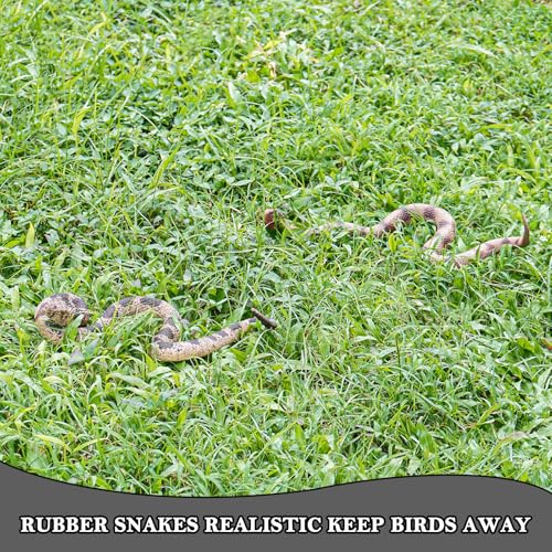 Gelabur 2Pcs Fake Snakes Prank, Soft Rubber Snake Realistic Keep Birds Away, Fake Snakes Toy - Life-Like Snake Figurine for Pranks, Halloween Decorations, and Educational Purposes