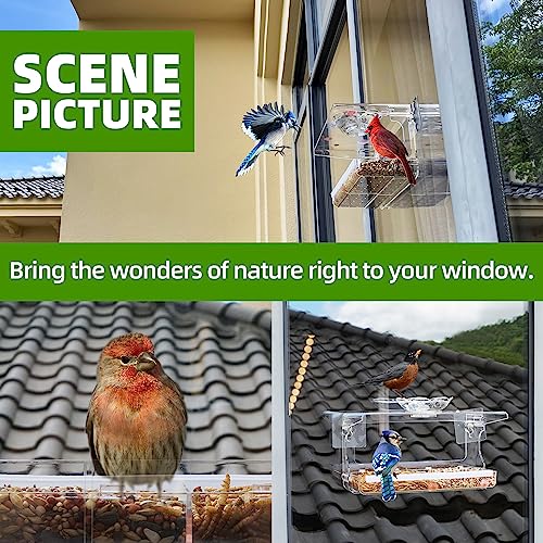 WENMIXER Window Bird Feeder with Non-Marking Self-Adhesive Hooks, Clear and Transparent, Outdoor Wild Bird Watching Gift, Garden Decor (Standard)