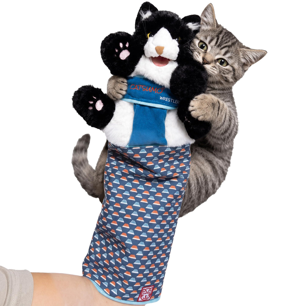 Cat Wrestling Glove Puppet – Interactive Hand Mitt with Durable Protective Sleeve and Catnip - Play & Enrichment