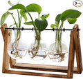 XXXFLOWER Plant Terrarium with Wooden Stand, Air Planter Bulb Glass Vase Metal Swivel Holder Retro Tabletop for Hydroponics Home Garden Office Decoration - 3 Bulb Vase