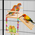 Bird Perches Platform Swing with Bird Mirror Climbing Ladder Birds Toys Cage Accessories for Cockatiels, Lovebirds, Pacific Parrotlets,Chinchilla, Hamster Play Gym Exercise Stand (with Mirror)