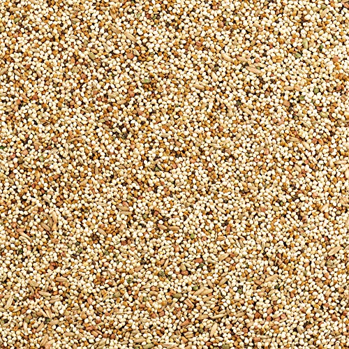 Wild Harvest Daily Blend Nutrition Diet for Parakeet, Canary and Finch 10 Pounds, Orange flavour