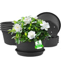 6 Pack 10 inch Plant Pot, Round Plastic Plant Pots, Outdoor Pots for Plants with Drainage Hole & Tray Saucer, Decoration Flower Pots for Indoor Plants Home Garden Outdoor Planters (Dark Gray)