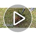 Grampa's Weeder - The Original Stand Up Weed Puller Tool with Long Handle - Made with Real Bamboo & 4-Claw Steel Head Design - Easily Remove Weeds Without Bending, Pulling, or Kneeling.