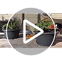 6 Pack 10 inch Plant Pot, Round Plastic Plant Pots, Outdoor Pots for Plants with Drainage Hole & Tray Saucer, Decoration Flower Pots for Indoor Plants Home Garden Outdoor Planters (Dark Gray)