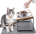 Upgraded Elevated Cat Bowls with Food Mat,15°Tilted Stand Anti Vomiting Raised Cat Dishes for Food and Water,2 Stainless Steel Bowls for Cats and Puppy