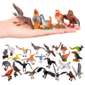 Realistic Bird Figurines, 24pcs Eagle, Parrot, Robin, Owl Toys - Fairy Garden Accessories, Educational Learning Dollhouse Birthday Cake Topper Gift for Kids