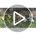 LEGIFO Bunny Decor Yard Decorations Outdoor Set of 3, Bunny Decorations for Home Garden Outdoor Statues, Easter Rabbit Figurines mom Gifts