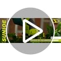Sun Joe 2 in 1 Cordless 7.2V Handheld 4" Grass Shear and 6" Hedge Trimmer, Battery Powered, Built-In Safety Switch and Blade Safety Cover
