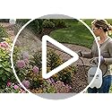Chapin 20004 Pump Sprayer, 1-Gallon SureSpray Translucent Tank with an Easy Fill Funnel-Top Opening, Adjustable Cone Nozzle & 34" Long Reach Hose, Used for Fertilizer, Pesticides, Weeds & Pests