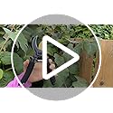 gonicc 8" Professional Premium Titanium Bypass Pruning Shears (GPPS-1003), Hand Pruners, Garden Clippers.