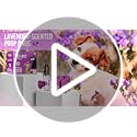 PET N PET Poop Bags for Dogs, 288 Count Lavender Scented Dog Waste Bags with Leash Dispenser, USDA Certified 38% Plant Based & 62% PE Dogs Waste Bag