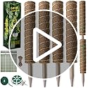 Fabulas Moss Pole 47.5 Inch - Monstera Plant Support, 4 Packs 16 Inch Plant Stakes for Indoor Plants Coco Coir Moss Pole Sticks for Climbing Potted Live Plants, Pothos, Philodendron, with Garden Ties